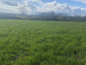Vente Terrain 5182 m&sup2;Saint-Salvi-de-Carcavès