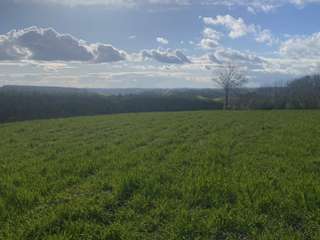 Vente de terrain
