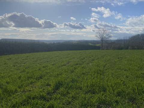 Vente de terrain