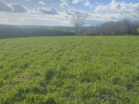 Vente de terrain