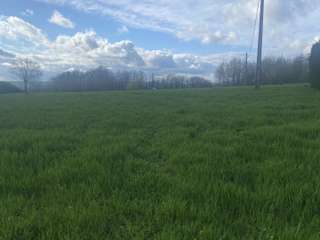 Vente de terrain