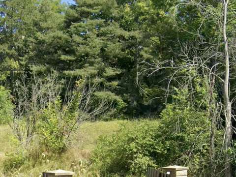 Vente de terrain Saint-Sauveur 05