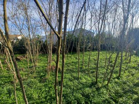 Vente de terrain
