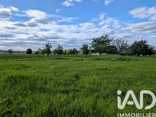 Vente de terrain
