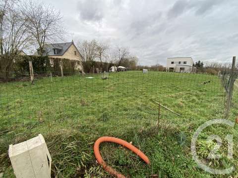 Vente de terrain Saint-Sauveur-des-Landes 35