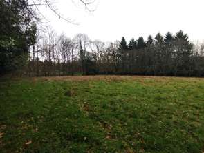 Vente Terrain 18400 m&sup2;Saint-Sauveur-des-Landes