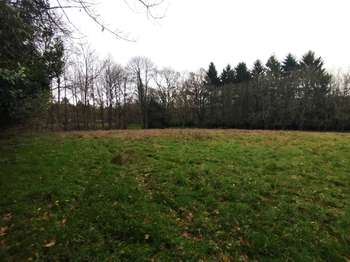 Vente de terrain Saint-Sauveur-des-Landes 35