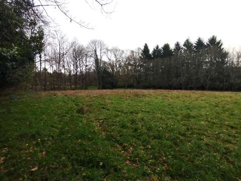 Vente de terrain Saint-Sauveur-des-Landes 35