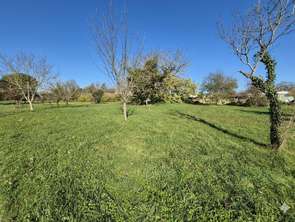 Vente Terrain 2800 m&sup2;Saint-Savinien