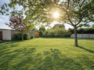 Vente de terrain