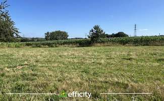 Photo Vente de terrain Saint-Senier-de-Beuvron