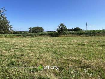 Photo Vente de terrain Saint-Senier-de-Beuvron