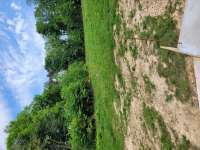 Vente de terrain