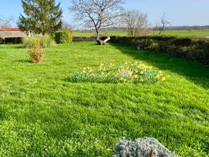 Vente Terrain 581 m&sup2;Saint-Seurin-de-Palenne