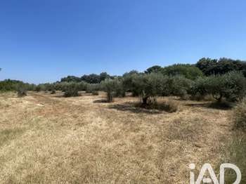 Vente Terrain 1764 m&sup2;Saint-Siffret