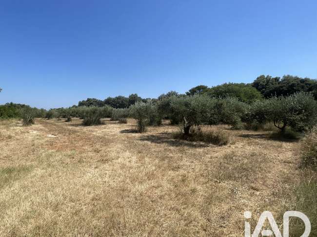 Terrain 1764 m² · à Saint-Siffret · 1 764 m² · 299 000 €