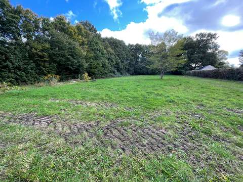 Vente de terrain Saint-Sulpice 49