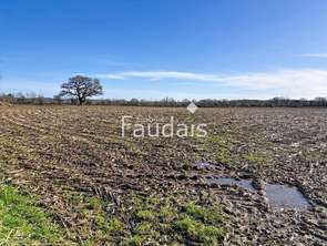 Vente Terrain 65732 m&sup2;Saint-Symphorien-le-Valois