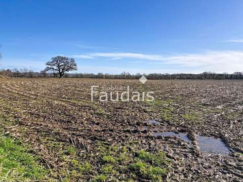 Vente de terrain Saint-Symphorien-le-Valois 50