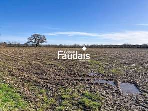 Vente Terrain 65732 m&sup2;Saint-Symphorien-le-Valois