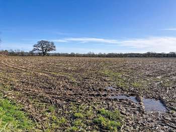 Vente Terrain 65732 m&sup2;Saint-Symphorien-le-Valois