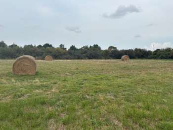 Vente de terrain Saint-Urbain 85