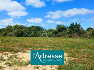 Vente de terrain