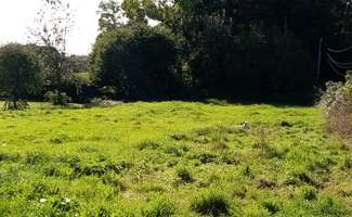 Photo Vente de terrain Saint-Vaast-Dieppedalle