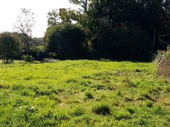Photo Vente de terrain Saint-Vaast-Dieppedalle