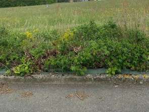 Vente Terrain 870 m&sup2;Saint-Valérien