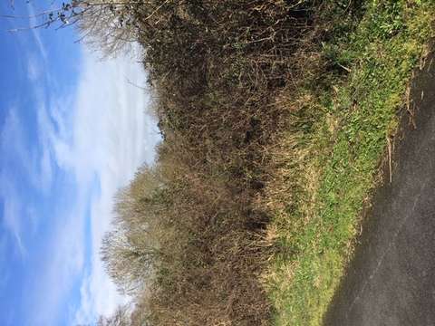 Vente de terrain Saint-Valérien 85