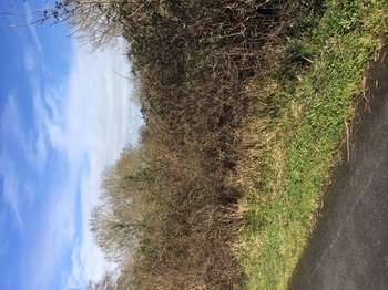Vente Terrain 616 m&sup2;Saint-Valérien
