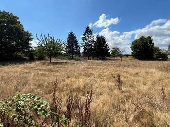 Vente Terrain 2500 m&sup2;Saint-Vigor-le-Grand