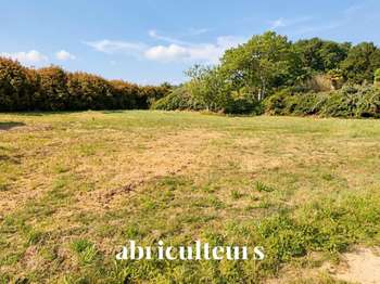 Vente de terrain Saint-Vincent-de-Tyrosse 40