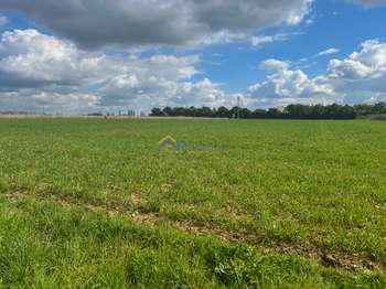 Vente Terrain 5064 m&sup2;Saint-Vincent-sur-Jard
