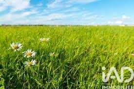 Vente Terrain 922 m&sup2;Saint-Xandre