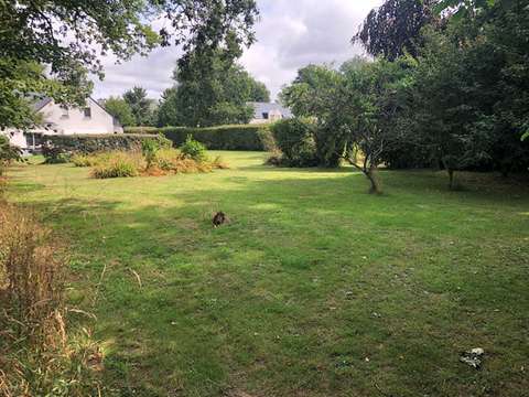 Vente de terrain