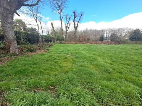 Vente de terrain