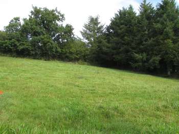 Vente de terrain