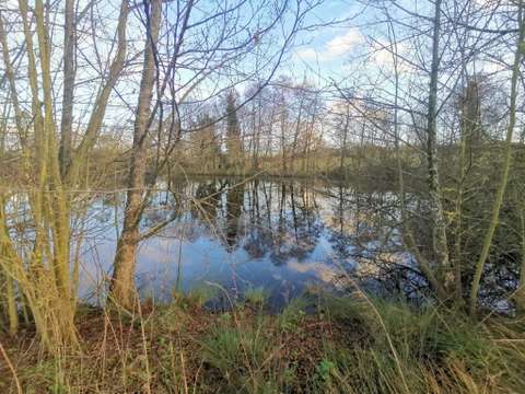 Vente de terrain Sainte-Cécile 85