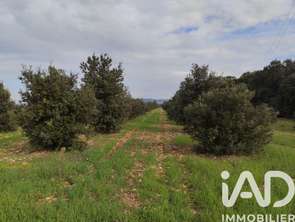 Vente Terrain 5708 m&sup2;Sainte-Cécile-les-Vignes