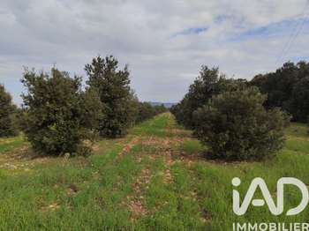 Vente de terrain Sainte-Cécile-les-Vignes 84