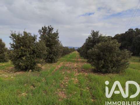 Vente de terrain Sainte-Cécile-les-Vignes 84