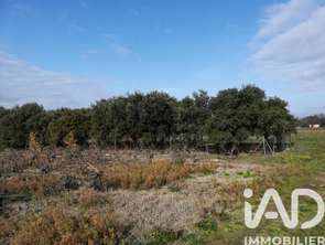 Vente Terrain 1368 m&sup2;Sainte-Cécile-les-Vignes
