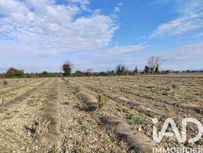 Vente Terrain 4952 m&sup2;Sainte-Cécile-les-Vignes