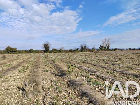 Vente de terrain Sainte-Cécile-les-Vignes 84