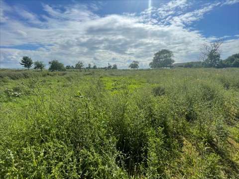 Vente de terrain Sainte-Croix-sur-Mer 14