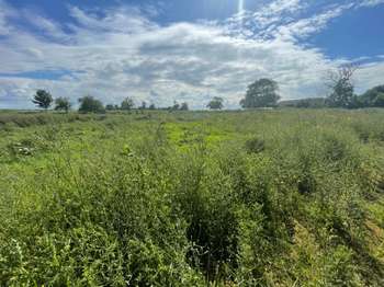 Vente Terrain 1252 m&sup2;Sainte-Croix-sur-Mer