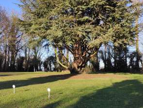 Vente Terrain 1628 m&sup2;Sainte-Croix-sur-Mer