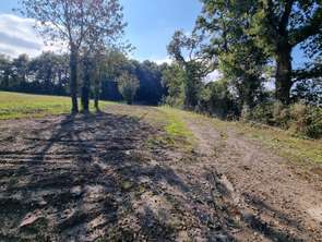 Vente Terrain 601 m&sup2;Sainte-Flaive-des-Loups